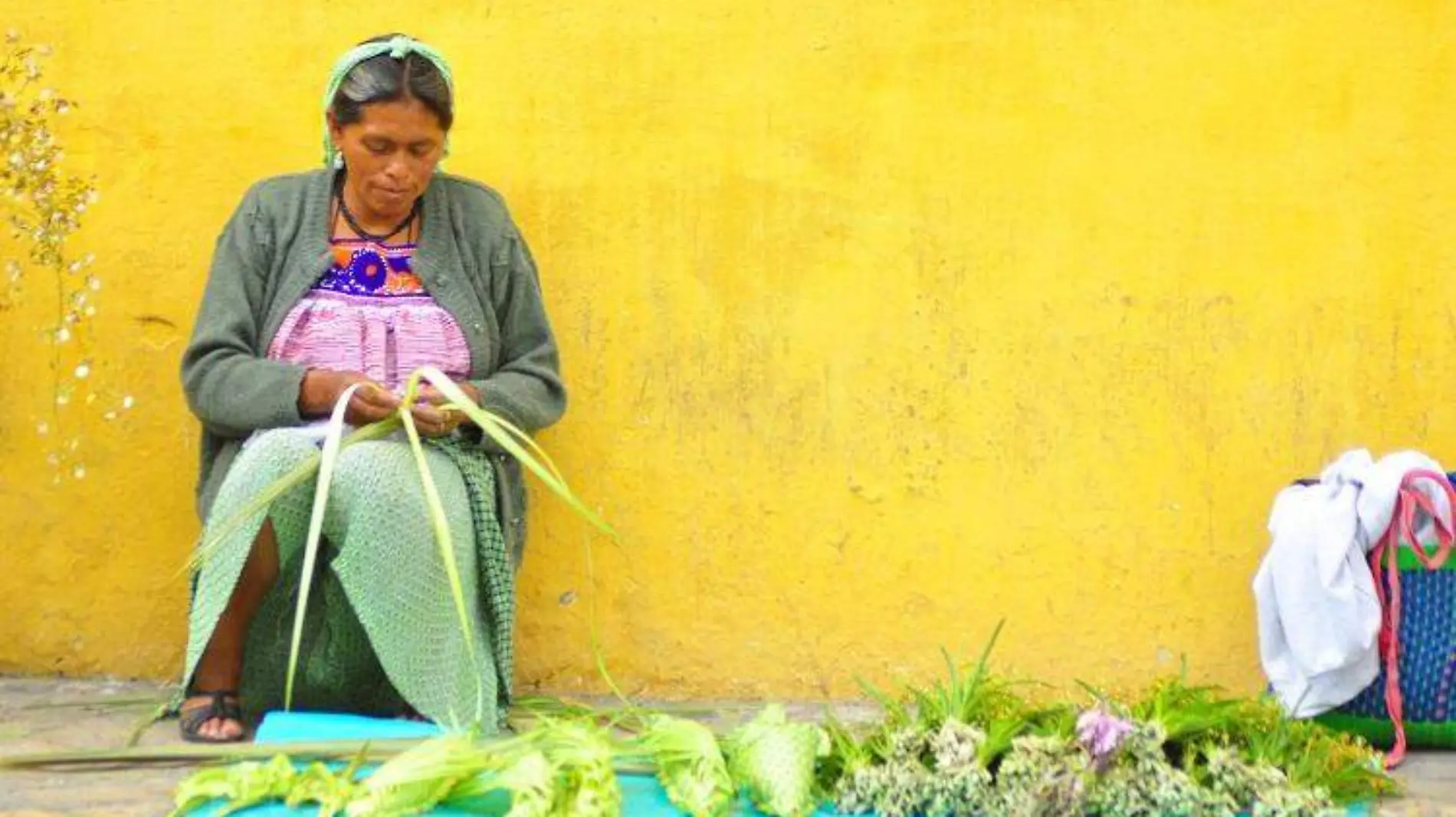 indígenas chiapas